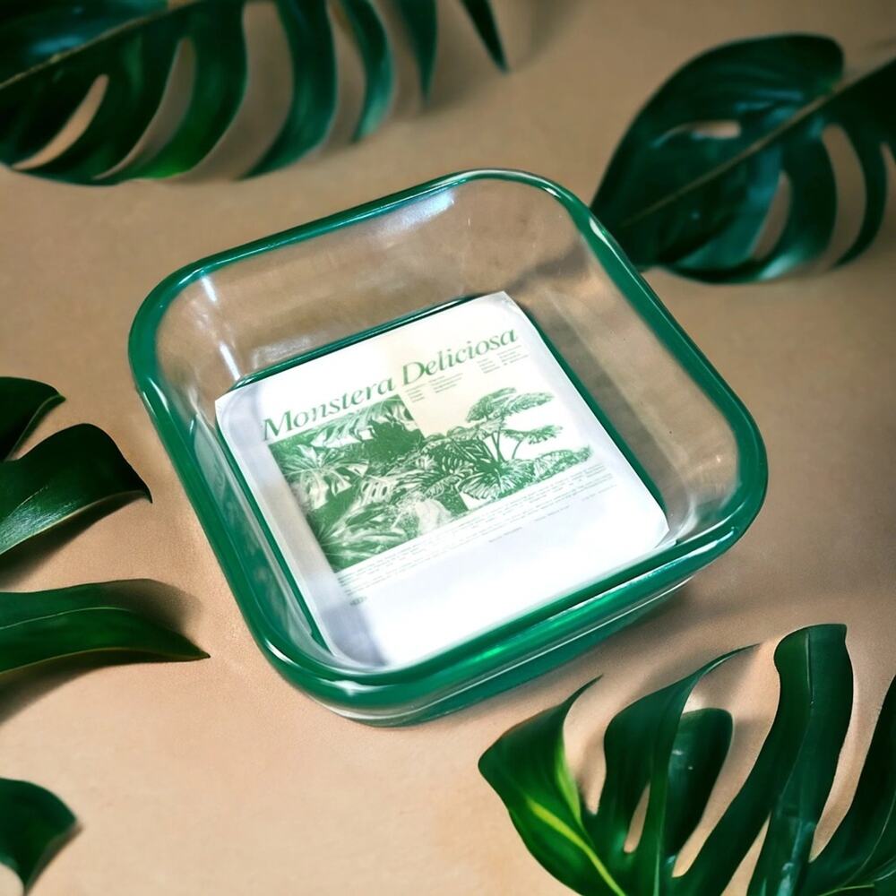 Monstera Mini Catch All Tray
